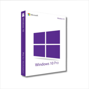 Windows 10 Professional