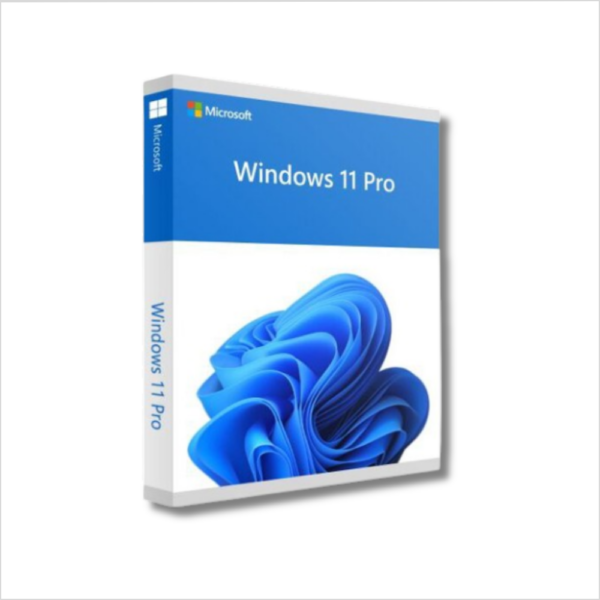 LAST (42) Windows 11 Professional
